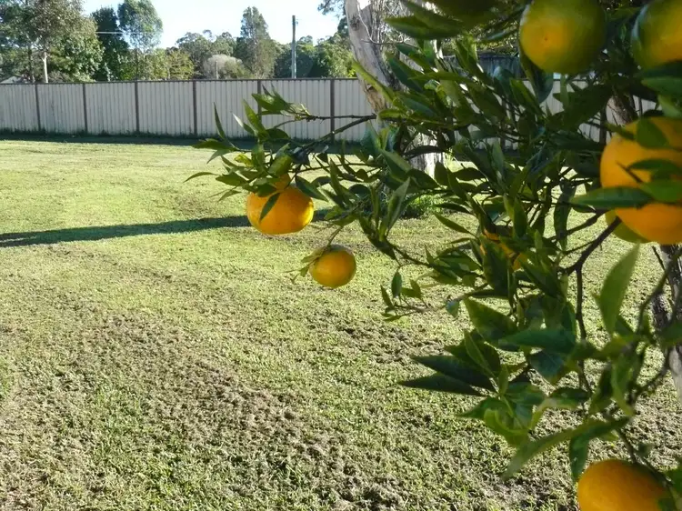 Fifth view of Homely land listing, 31 Lombard St, Coolongolook NSW 2423