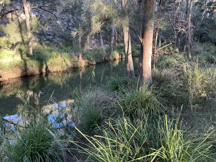 Fourth view of Homely rural property listing, 2358 & 326 Port Macquarie Road, Rylstone NSW 2849