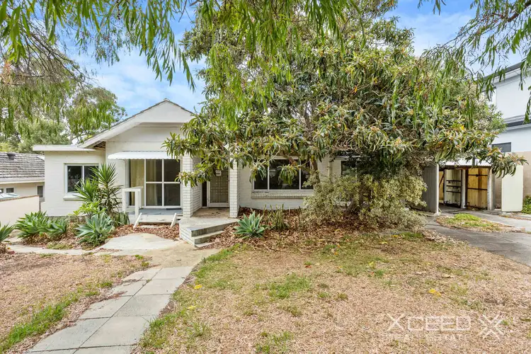 Fifth view of Homely house listing, 15 Boronia Cres, City Beach WA 6015