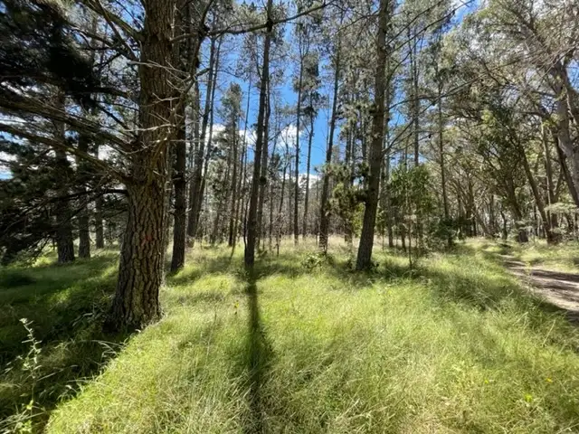 Lot 149 Clearview Road, Sugarloaf QLD 4380