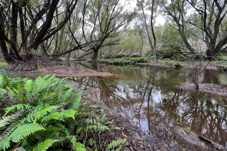 Second view of Homely rural property listing, LT16 North Black Range Fire Trail, Mulloon NSW 2622