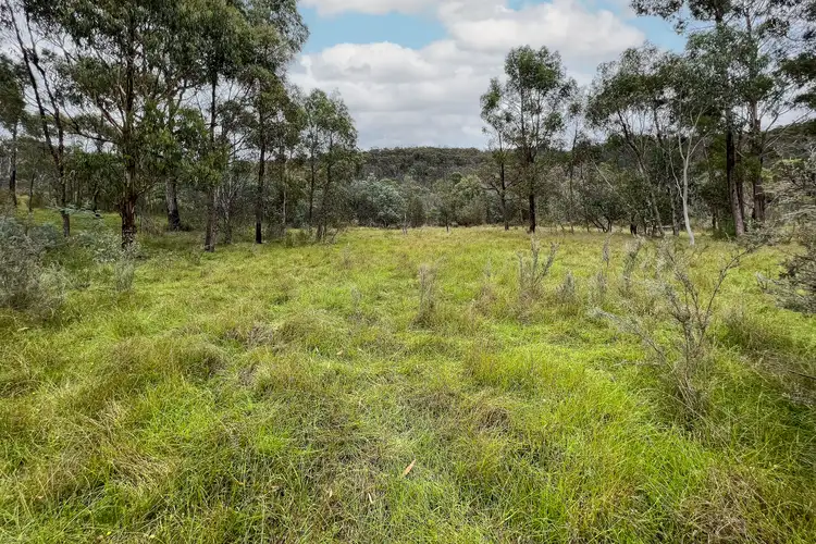 Fifth view of Homely rural property listing, LT16 North Black Range Fire Trail, Mulloon NSW 2622