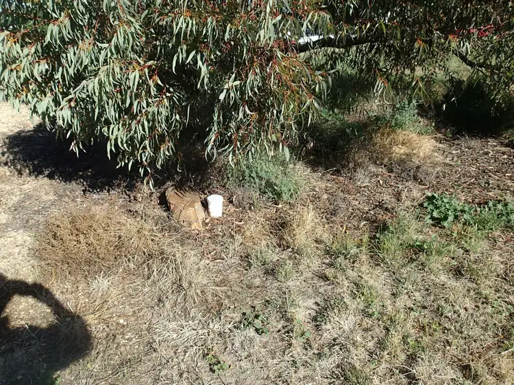 Sixth view of Homely land listing, 74-76 Frederick St, Urana NSW 2645