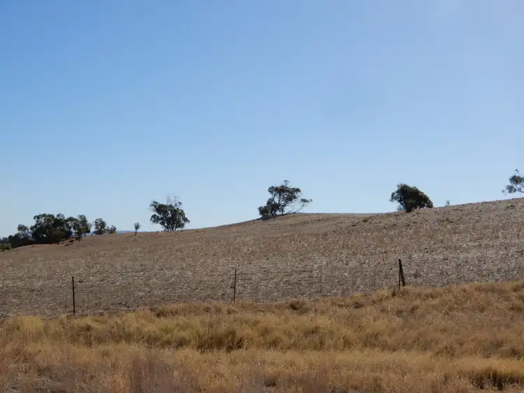 Section 635 Dead Horse Gully Road, Crystal Brook SA 5523