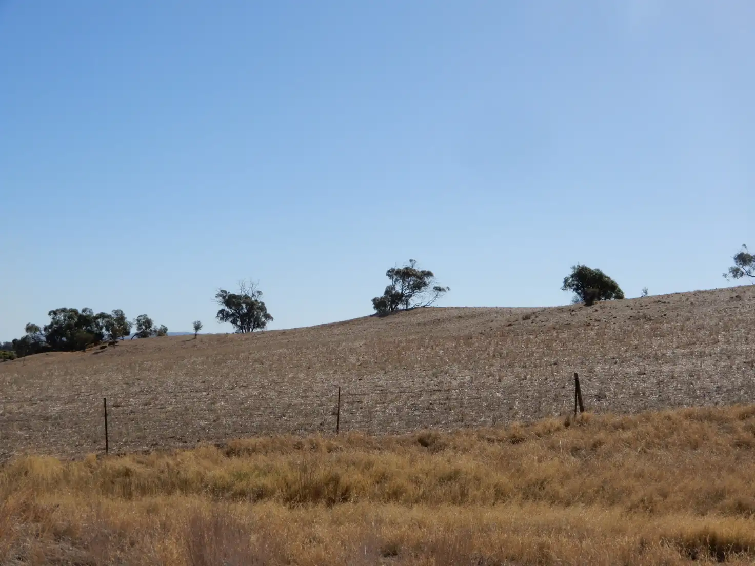 Main view of Homely land listing, Section 635 Dead Horse Gully Road, Crystal Brook SA 5523