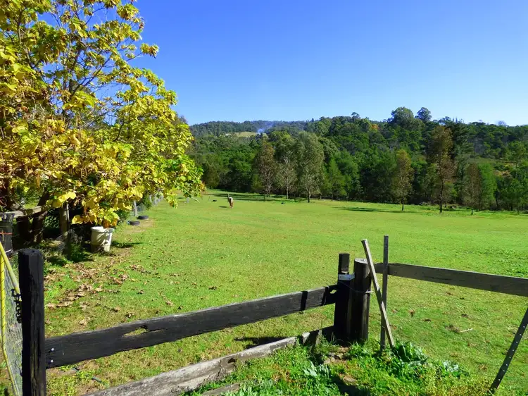 Second view of Homely rural property listing, 20 Ben Beasley Rd, Towamba NSW 2550