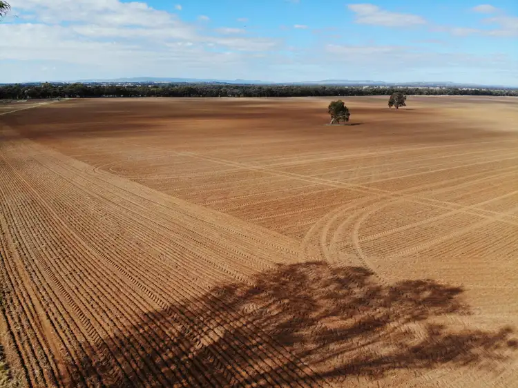 Seventh view of Homely rural property listing, 'Bens' Brittas Road, Walbundrie NSW 2642