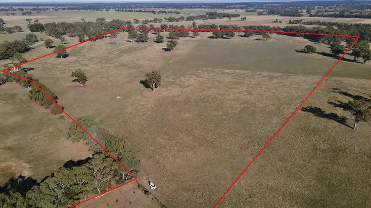 Main view of Homely rural property listing, Lot 191 North Settlement Rd, Joanna SA 5271