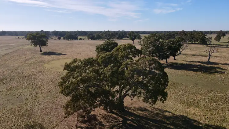 Fifth view of Homely rural property listing, Lot 191 North Settlement Rd, Joanna SA 5271