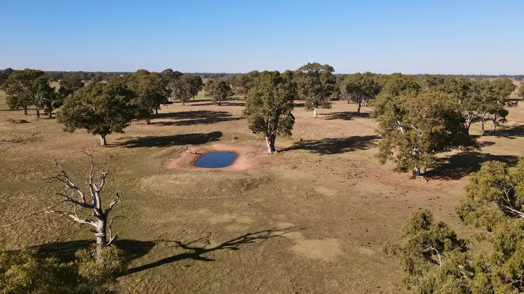 Sixth view of Homely rural property listing, Lot 191 North Settlement Rd, Joanna SA 5271