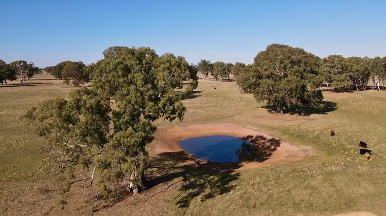 Seventh view of Homely rural property listing, Lot 191 North Settlement Rd, Joanna SA 5271