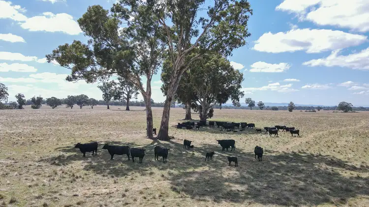 Third view of Homely rural property listing, 6575 Natimuk-Hamilton Rd, Balmoral VIC 3407