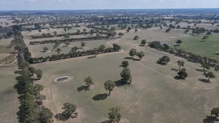 Sixth view of Homely rural property listing, 6575 Natimuk-Hamilton Rd, Balmoral VIC 3407