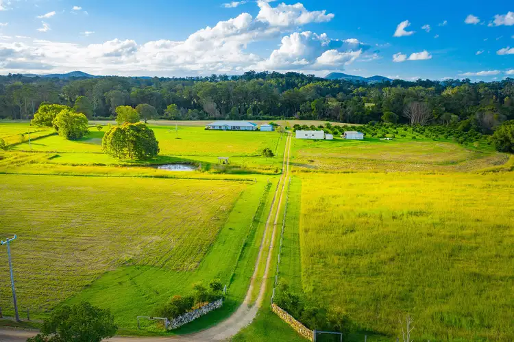 Third view of Homely rural property listing, 51 Bartletts Road, Beechwood NSW 2446