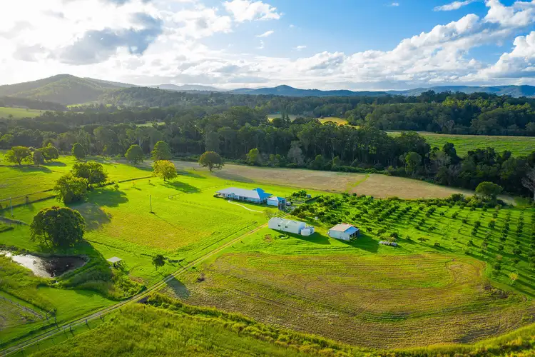 Fourth view of Homely rural property listing, 51 Bartletts Road, Beechwood NSW 2446