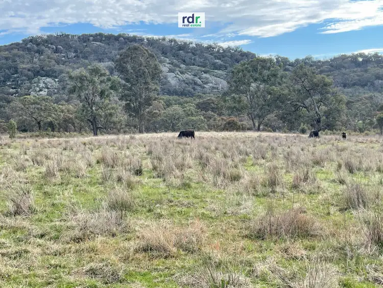 Seventh view of Homely rural property listing, Lot 4/189 Balala Road, Balala NSW 2358