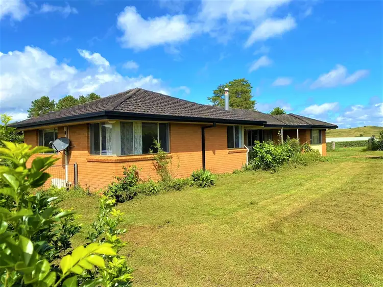 Main view of Homely rural property listing, 348 Collins Creek Rd, Kyogle NSW 2474