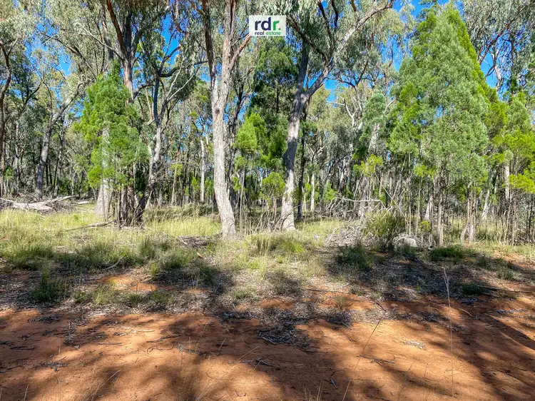 Fifth view of Homely rural property listing, Lot 1 Old Stannifer Rd, Inverell NSW 2360