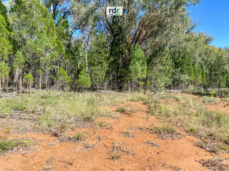 Seventh view of Homely rural property listing, Lot 1 Old Stannifer Rd, Inverell NSW 2360