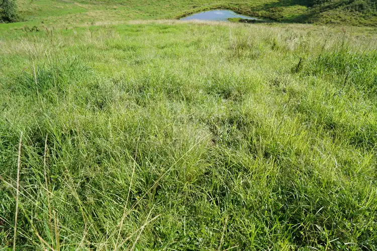 Fourth view of Homely rural property listing, 347 Sargents Road, Kyogle NSW 2474