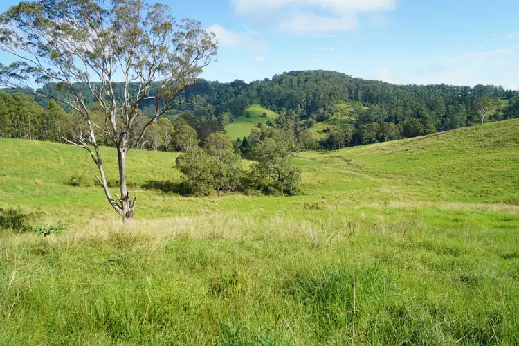 Fifth view of Homely rural property listing, 347 Sargents Road, Kyogle NSW 2474