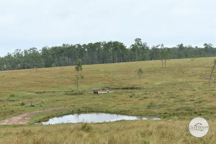 Fourth view of Homely rural property listing, 823 Old Gayndah Rd, Dunmora QLD 4650