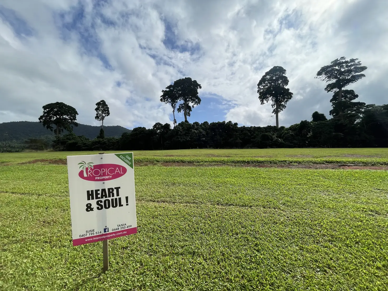 Main view of Homely land listing, Lot 31 Nautilus Street, Mission Beach QLD 4852