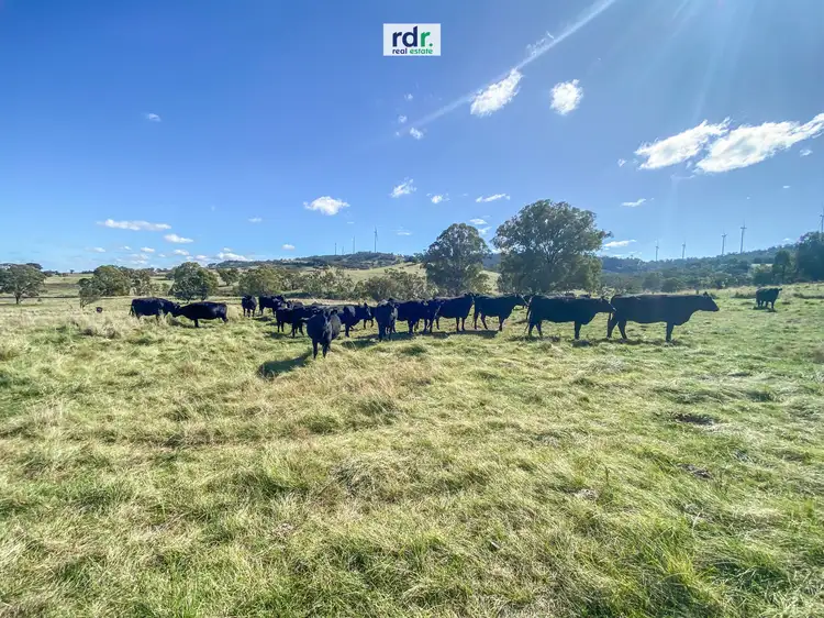 Fifth view of Homely rural property listing, 3112 Gwydir Highway, Inverell NSW 2360