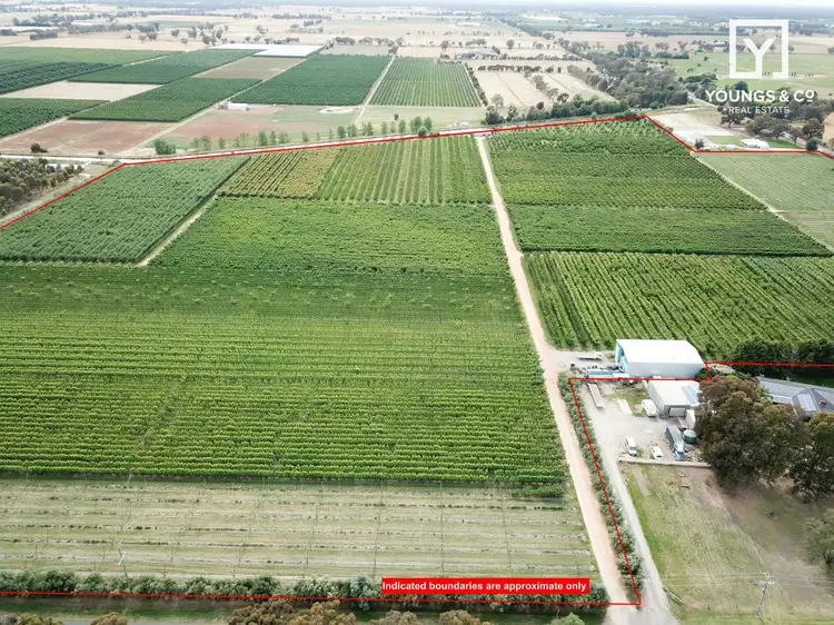 Main view of Homely rural property listing, 183 Craven Road, Tatura East VIC 3616