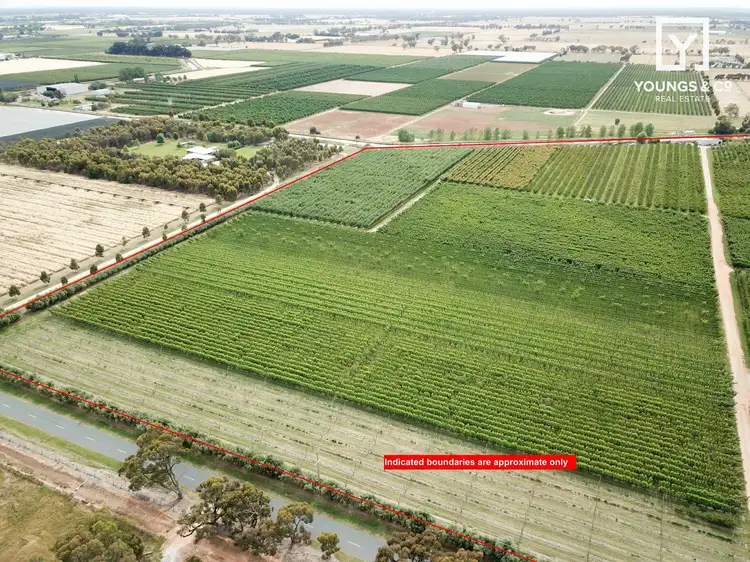 Second view of Homely rural property listing, 183 Craven Road, Tatura East VIC 3616