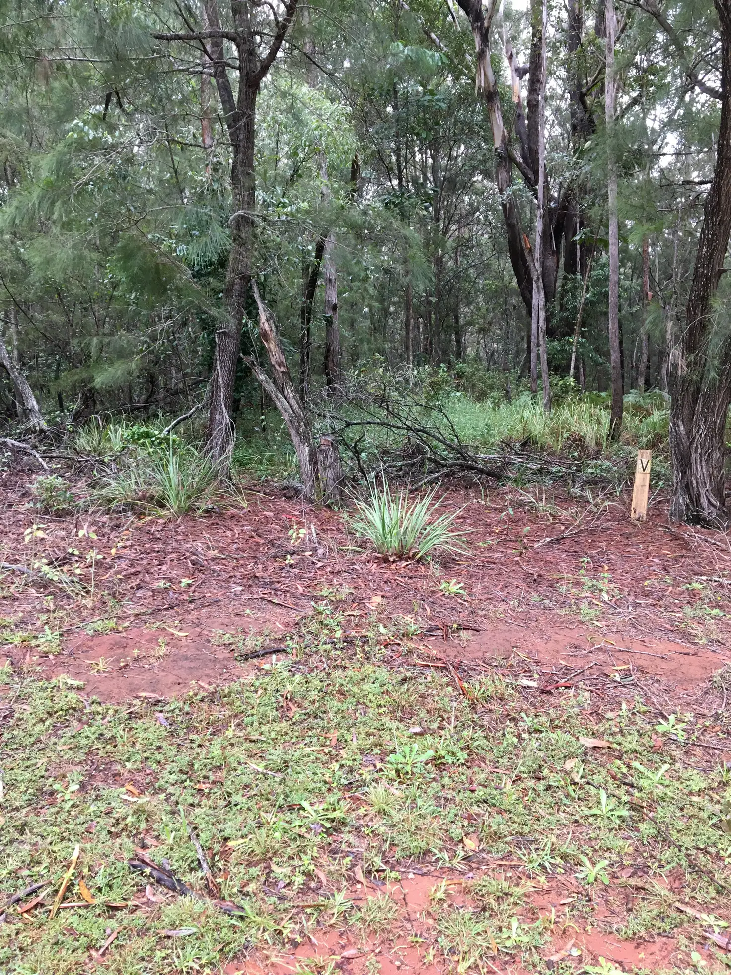 Main view of Homely land listing, 30 Hume St, Russell Island QLD 4184