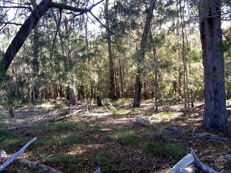 Second view of Homely rural property listing, L85 Oaklands Road, Pambula NSW 2549