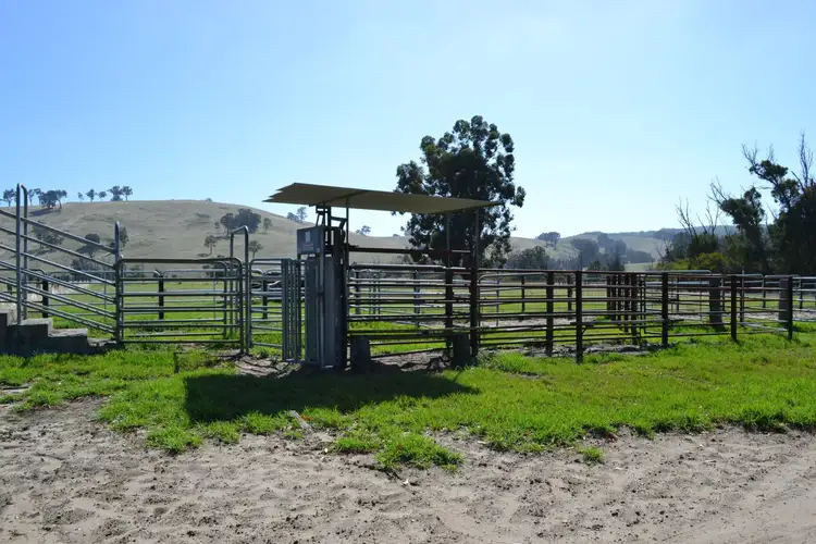 Fourth view of Homely rural property listing, L381 Upper Capel Road, Brazier WA 6251