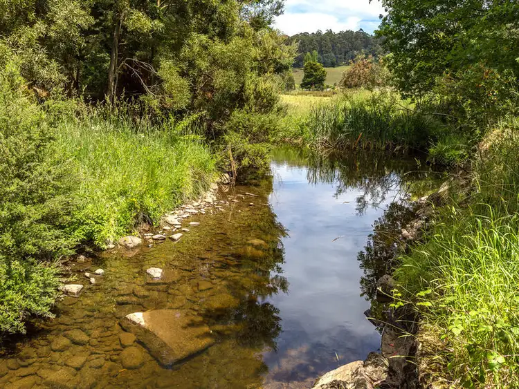 Fifth view of Homely house listing, 4916 Huon Hwy, Geeveston TAS 7116