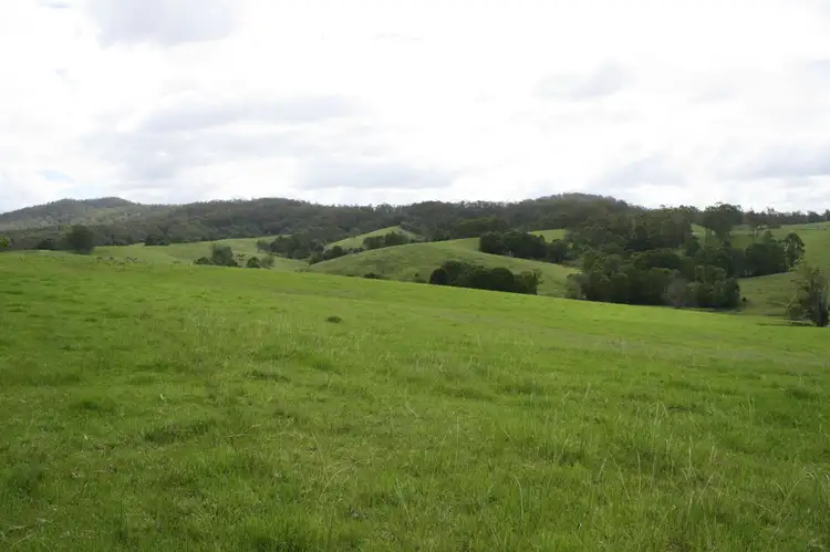 Main view of Homely rural property listing, 586 CONGARINNI Road South, Congarinni NSW 2447
