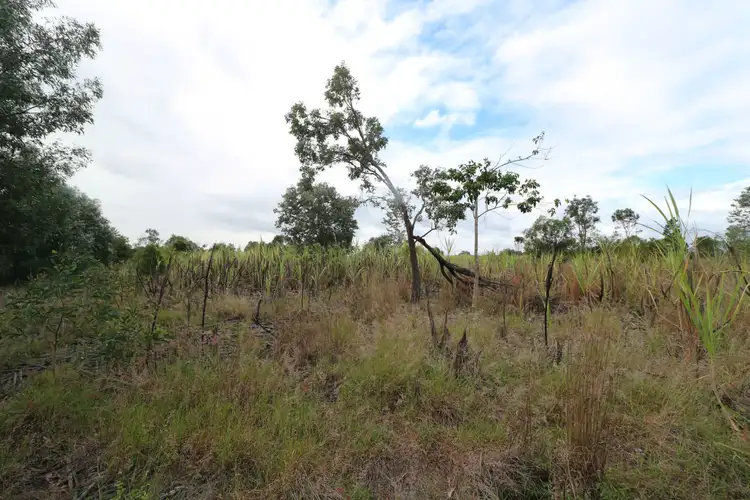 Third view of Homely land listing, Lot 5 Butchers Road, South Isis QLD 4660