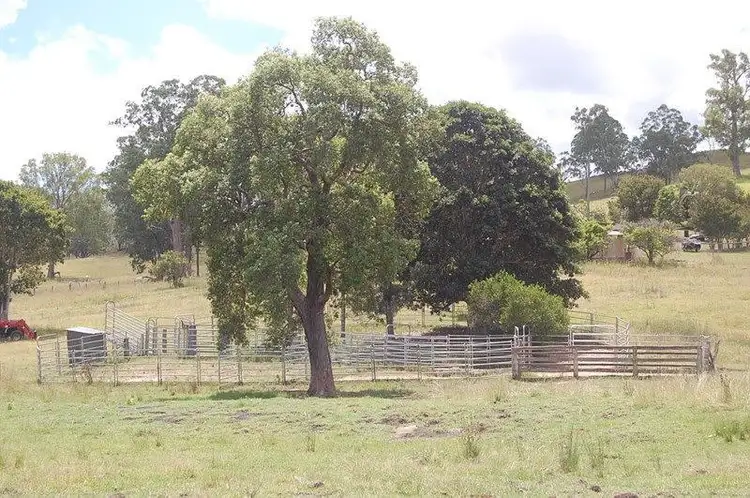 Fifth view of Homely rural property listing, 2914 Sextonville Rd, Woolners Arm NSW 2470