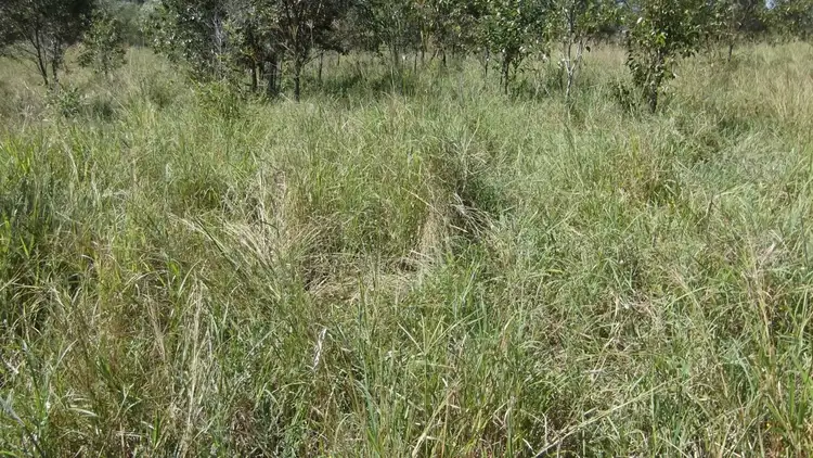 Fifth view of Homely land listing, 359 Railway Road, Booyal QLD 4671