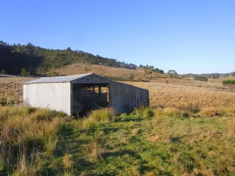 Fifth view of Homely rural property listing, Lot 342 Mt Darragh Road, Wyndham NSW 2550