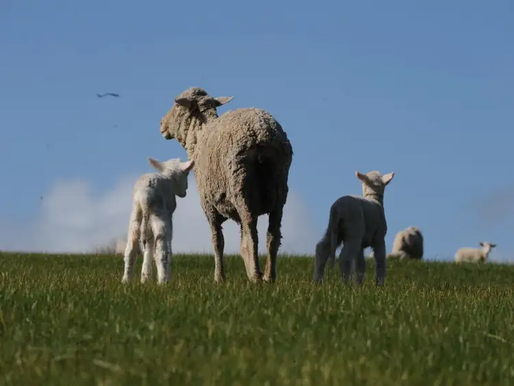 Sixth view of Homely rural property listing, Address available on request