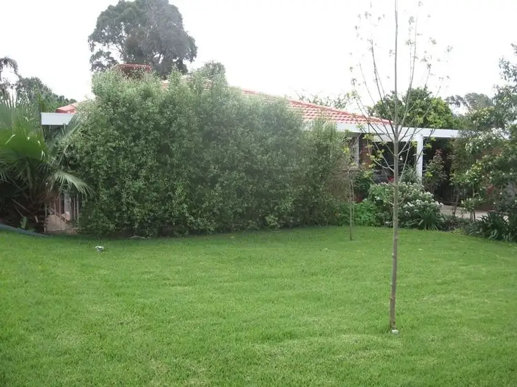 Fourth view of Homely house listing, 36 Wirilda Avenue, Surrey Downs SA 5126