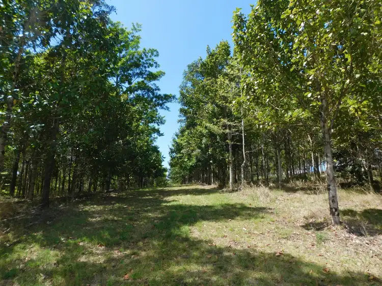 Fourth view of Homely rural property listing, 104 DAVIS ROAD, Kyogle NSW 2474