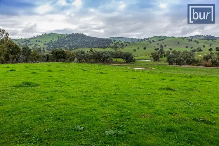 Third view of Homely rural property listing, 1242 Wymah Rd, Bowna NSW 2644