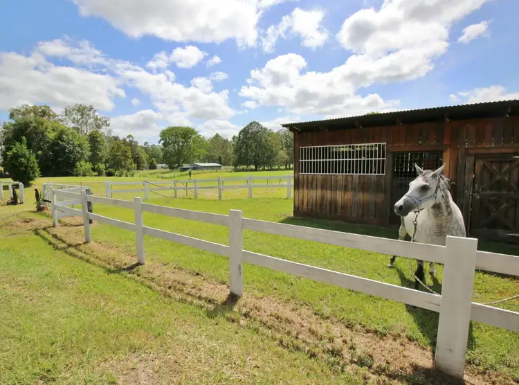 Fourth view of Homely rural property listing, 13 Samantha Drive, Pie Creek QLD 4570