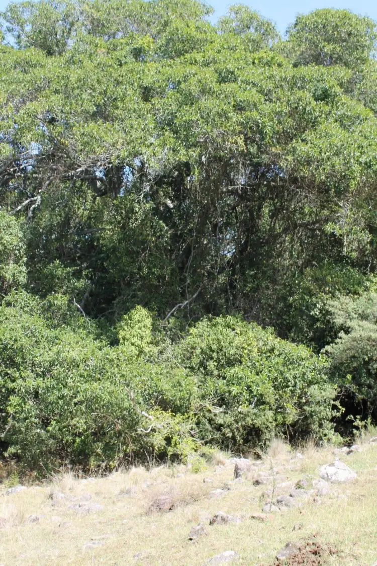 Second view of Homely land listing, Address available on request