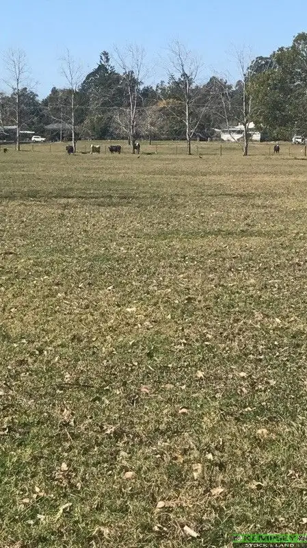 Seventh view of Homely land listing, Lot 4 & Lot 5 Jellico St, Macksville NSW 2447
