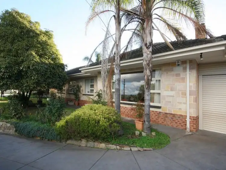 20 Geraldine Street, Valley View SA 5093
