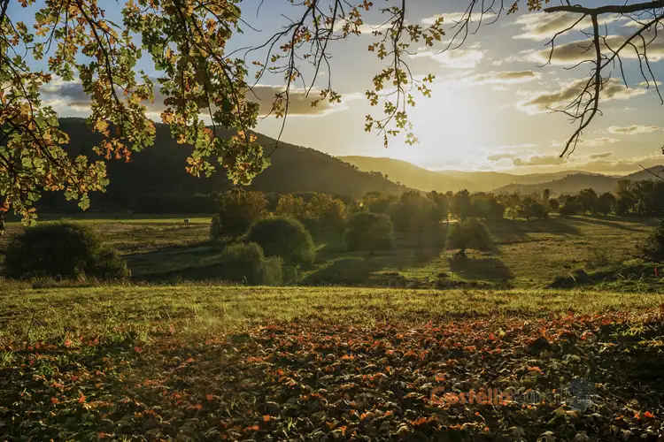 Fifth view of Homely land listing, Lot 12 Mcillree Street, Khancoban NSW 2642