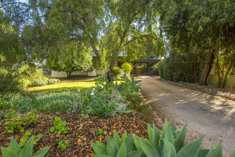 Main view of Homely house listing, 420 The Terrace, Port Pirie SA 5540