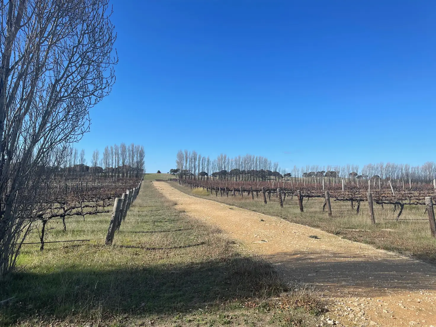 Main view of Homely rural property listing, 503 Old Naracoorte Rd, Robe SA 5276
